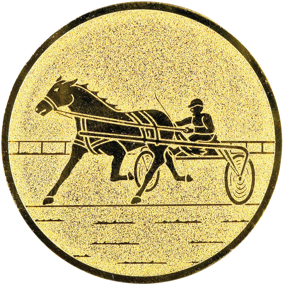 maxi emblém 50mm stříbrný - kůň