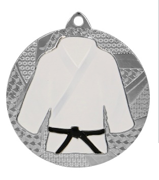 Medaile 50mm stříbrná karate, judo 396