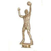 zlatá soša volejbalista