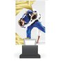 skleněná trofej 9552 judo adave