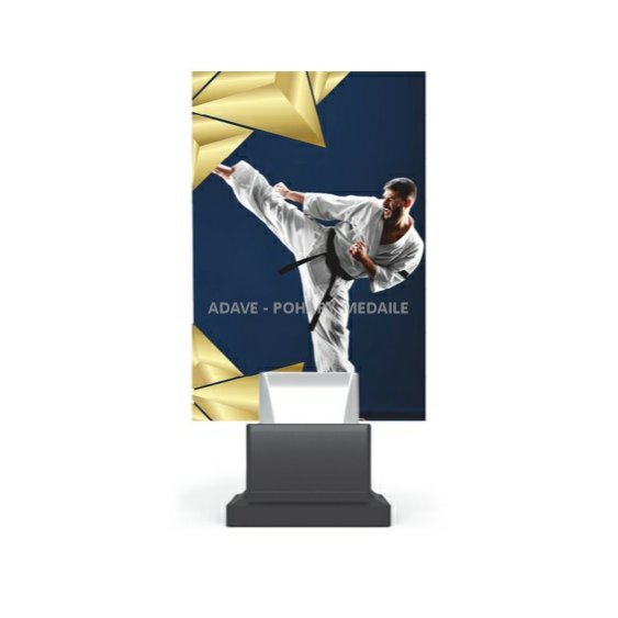 skleněná trofej karate