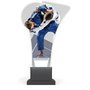 judistická trofej adave9553