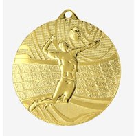 volejbalová mediale